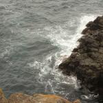 Kiama - Blowhole point